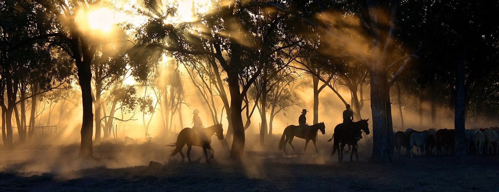 cowboy-indien-foret-cheval-coucher-soleil_opt